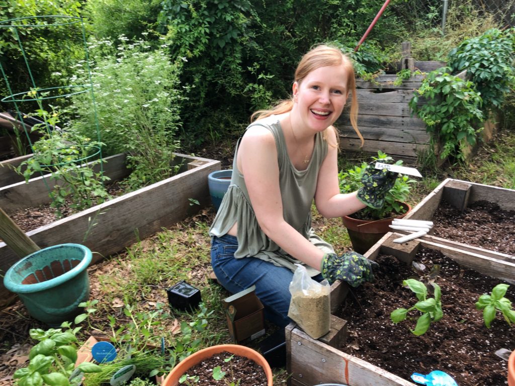 Starting an Herb Garden This Spring - Season of Heather